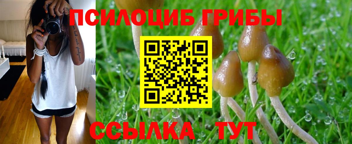 Галлюциногенные грибы Cubensis  Псилоцибиновые грибы прущие грибы  Лениногорск  Вход с VPN 
