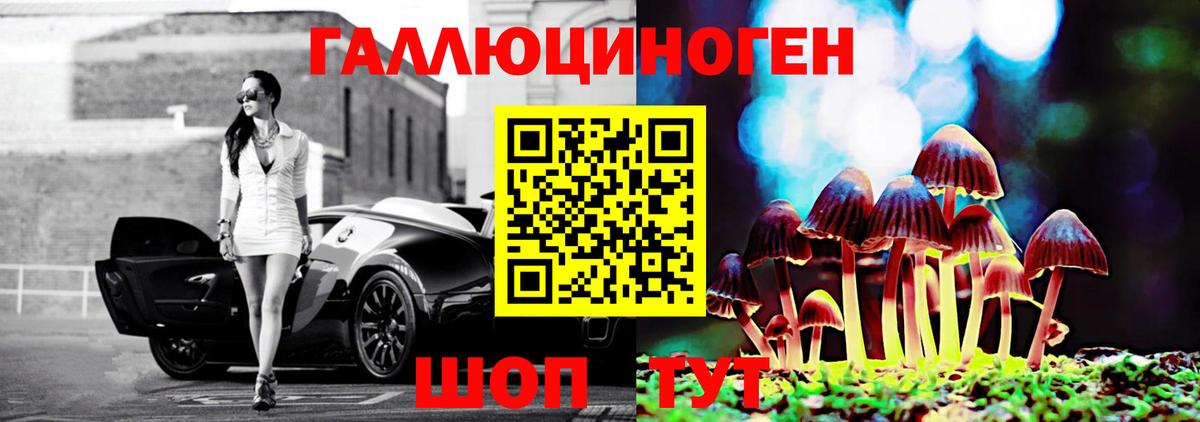 Псилоцибиновые грибы GOLDEN TEACHER Лениногорск
